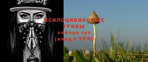 mix Бородино