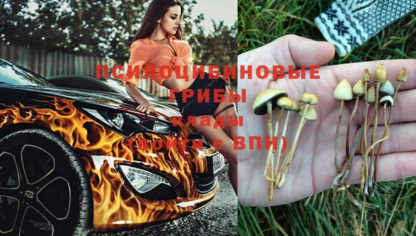 твердый Володарск