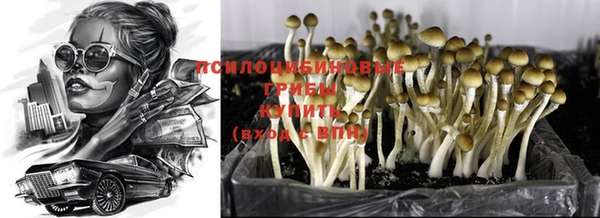 дмт Медвежьегорск