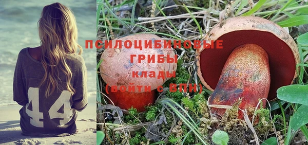 mix Бородино