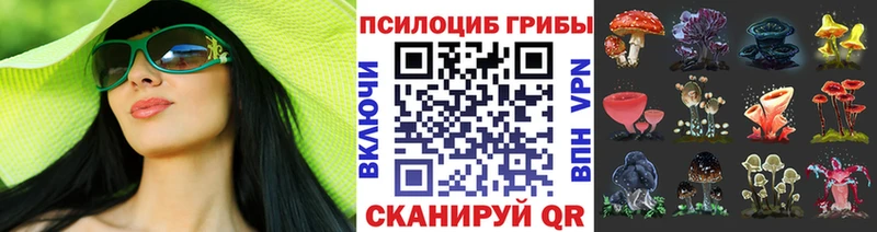 Галлюциногенные грибы Magic Shrooms  Канаш 